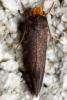 282770 – Photo : André Burgers – Espagne